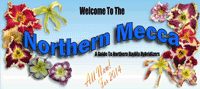 northern mecca graphic